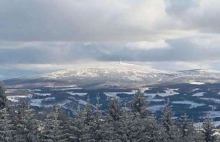 Waldhaus Hahnenklee - Foto 25