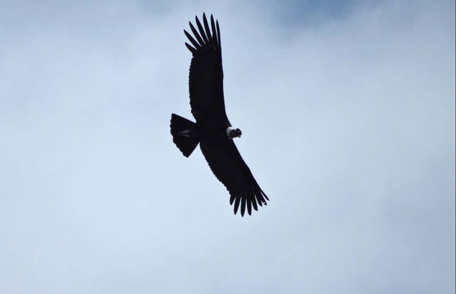Excursion dans les tunnels des Altas Cumbres et à Mina Clavero - Photo 6
