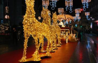 Apartamento céntrico de lujo El Paraíso - Foto 24