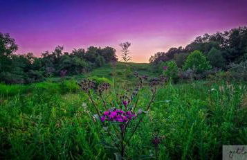 Cozy Cabin - Foto 72