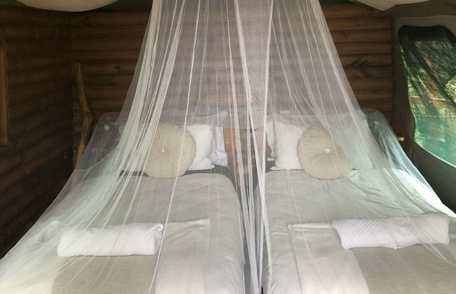 Teniqua Treetops - Foto 27