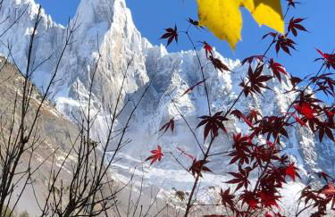 Happy Moose - Cosy Mont Blanc View apartment with sauna - Photo 55