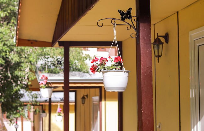 Ideal Bungalow for 2 or 3 Guests Surrounded by a Lovely Garden - Foto 14