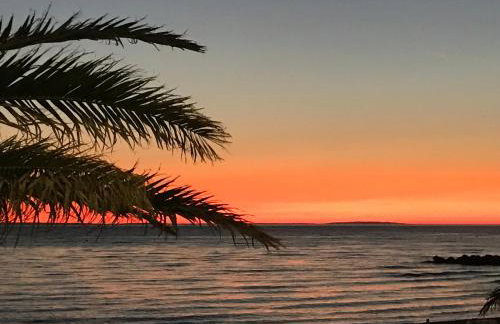 Appartements Antunovic - Foto 21