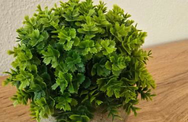 Ruhiges Apartment nähe Bahnhof HILTI - Foto 69