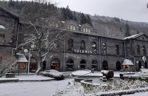 Appartement Centre Ville MONT DORE Vacances et Week-End Classé 3 Etoiles - Foto 18