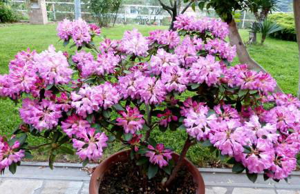 Casa vacanze Ester - Photo 54