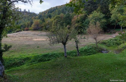 SO MAGIC - La casa nel bosco - Foto 6