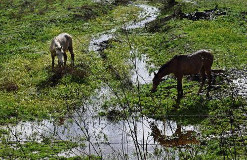 Casa do Avô Tó - Foto 37