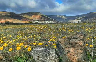 Casitas Tabayesco - Foto 16
