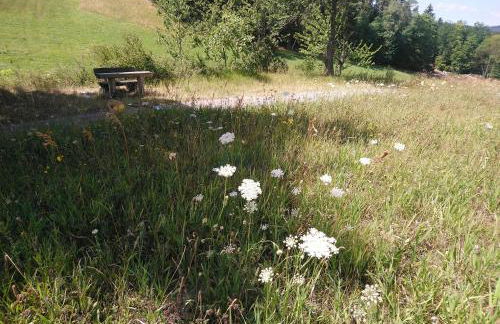 "Haus Ulla" - Foto 26