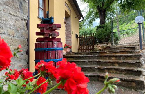 Agriturismo Villino del Grillo - Foto 12