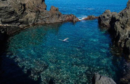 Musa Paradisiaca - Foto 42