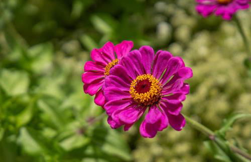 CORTIJO EL PRADO l - Foto 30