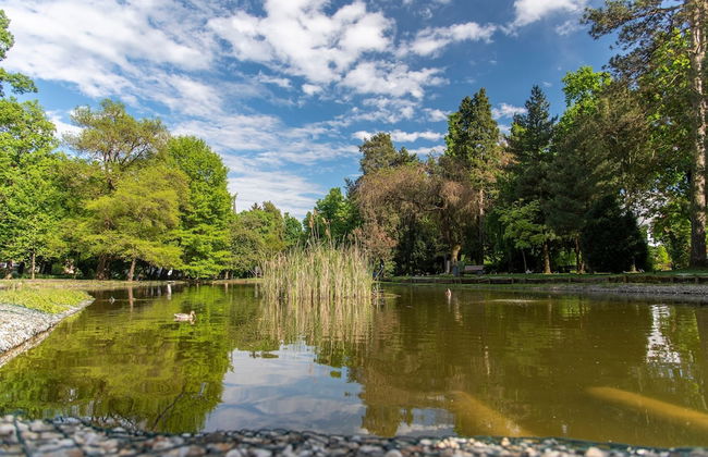 Holiday House Vilana With Jacuzzi - Foto 12