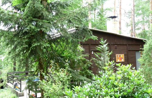 Ferienhaus beim Stechlinsee - Foto 11