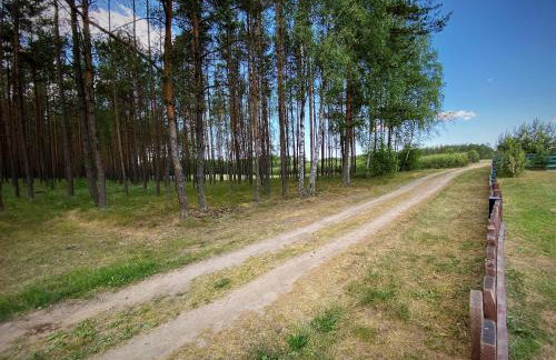 Leśne Zacisze domki letniskowe - Foto 43