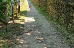 Casa Lorelein - Foto 46