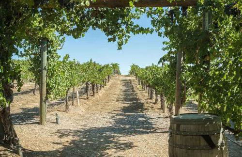 The Welk by Vacation Club Rentals - Foto 26