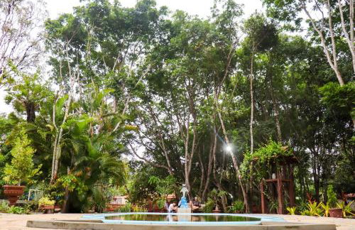 ranchorouxinol - Foto 20