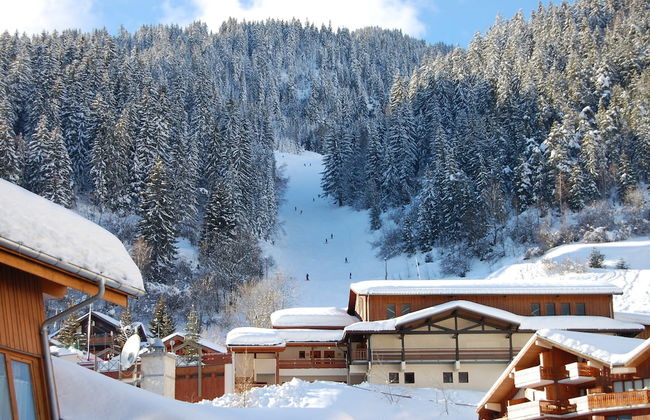 4-6 Pers. Holiday Appartment Near Center of Champagny - Foto 64