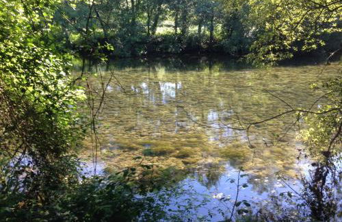 Casa do Avô - Foto 64