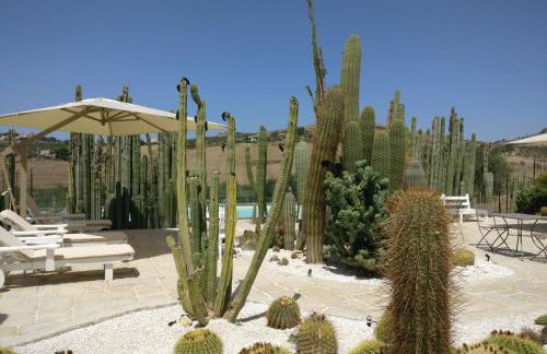 Garden Cactus - Foto 34