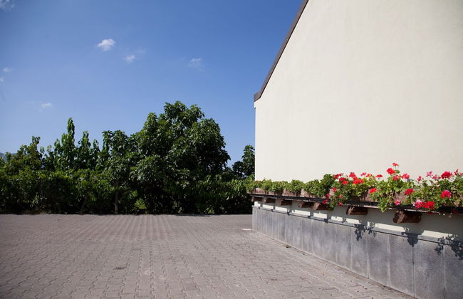 L'Antica Vigna - Photo 38