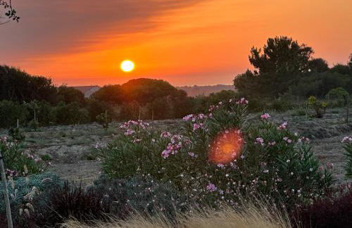 Quinta do Planalto Vicentino - Casas de Campo - Photo 7