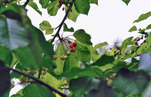 Appartamenti Tortorella - Foto 47