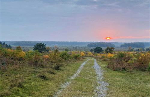 Ferienhaus De Beers Huus - Holte-Spangen - Foto 21