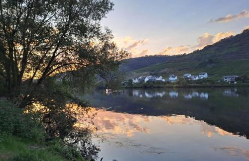 Ruhig gelegende Ferienwohnung an der Mosel - Foto 26
