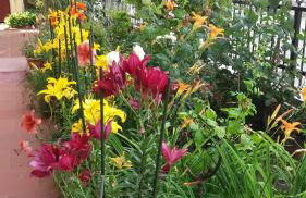 SEA VIEW TONIAS APARTMENTS Poseidon - Foto 13