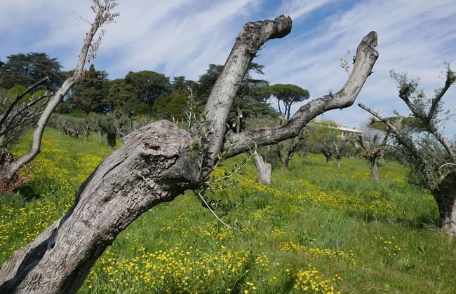 Villa Cavalletti - Foto 57