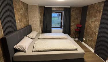 Haus am Freilinger See Bar - Foto 3