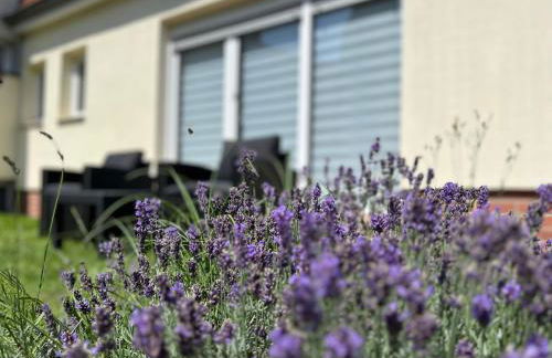 Casa Edelsita - Photo 16