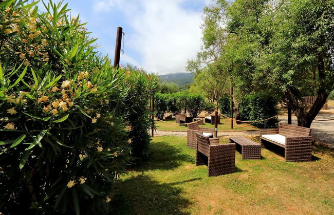 Pimpinnacolo 1 - 1BR M2 - Foto 21