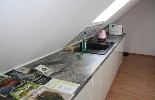 Agroturystyka KAMA - Foto 12