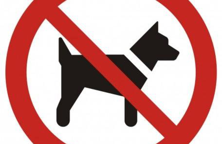 Mazur House Bogaczewo - Foto 3