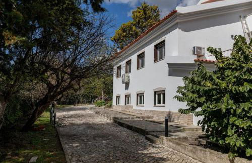 Portuguese Luxury Villa - Foto 66