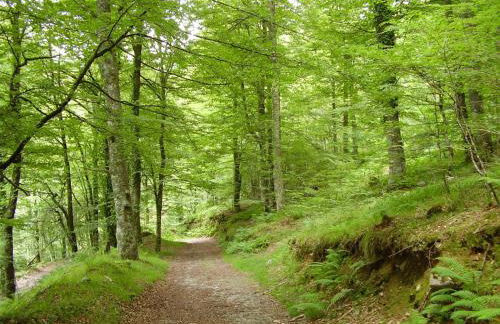 Apartamentos Rurales Casa Baltasar - Foto 39