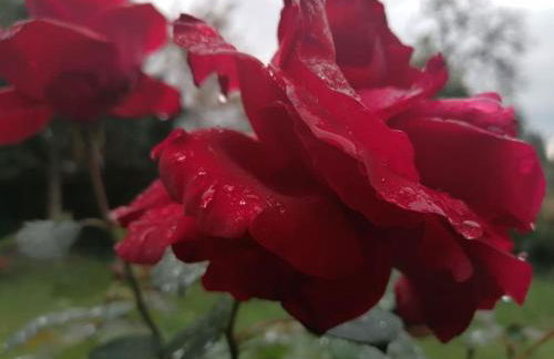 10 min nach Augsburg - Apartment mit Extra-Eingang - Foto 9