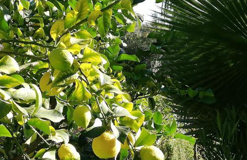 la fontana - Foto 31