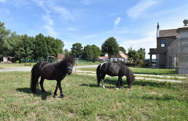 Ferienhaus in Detershagen mit Terrasse - Photo 25