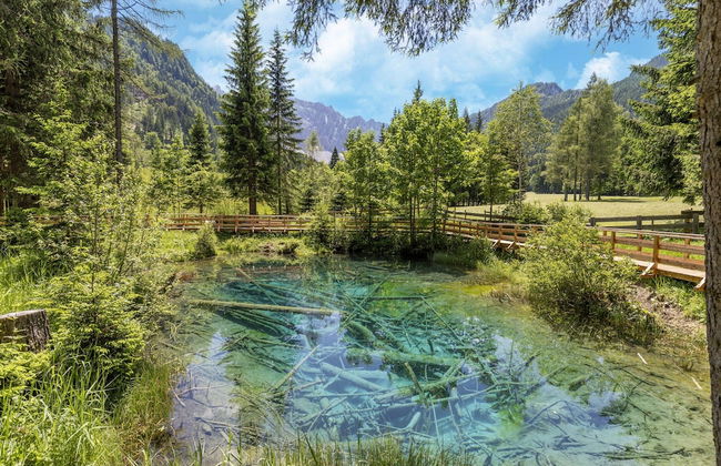 Holiday Home in Ferlach Near Woerthersee - Photo 28