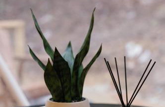 “Climber's Den” Rare Cliffside Stay w/ HotTub RRG - Foto 10