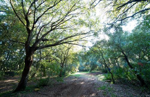 Tenuta Monacelli Lecce - Foto 54