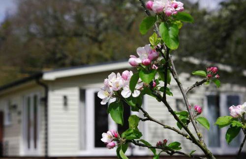 Orchard Cottage - Kent - Foto 21