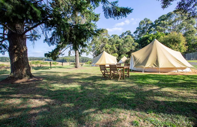 Forrest Holiday Park - Photo 44