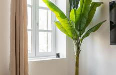 Vieux-port Gare St Charles Le Ramsès - Foto 21